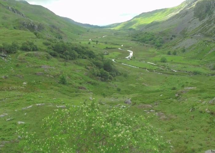 Snowdonia Mountain Lodge