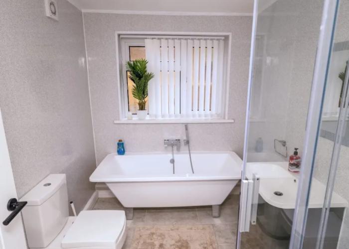 Happy Days Afan Forest