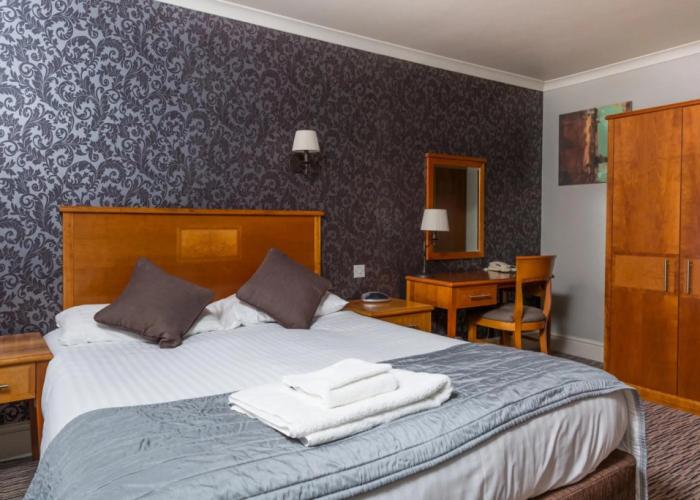 Dog & Bear Hotel