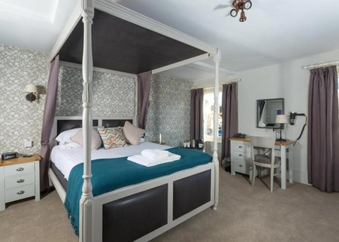 Dog & Bear Hotel