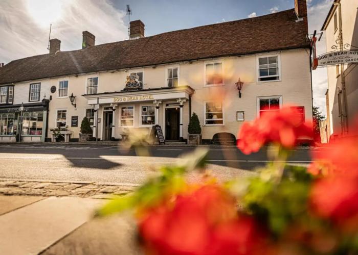 Dog & Bear Hotel