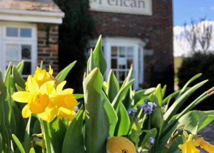 The Pelican Inn