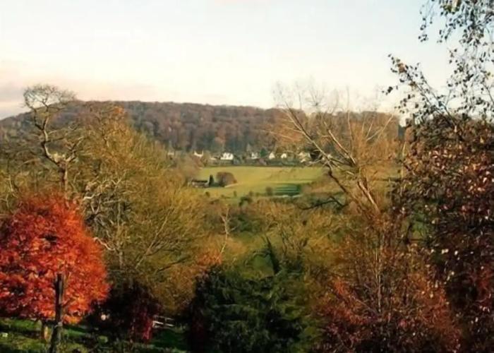 Tibbiwell Lodge - B&B