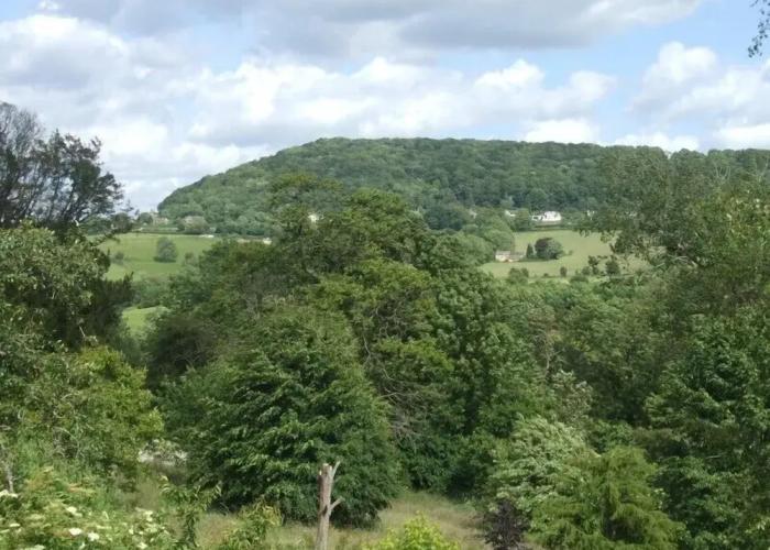 Tibbiwell Lodge - B&B