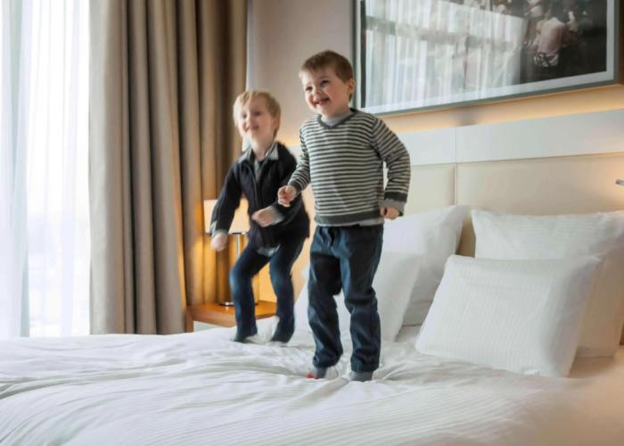 Pullman Toulouse