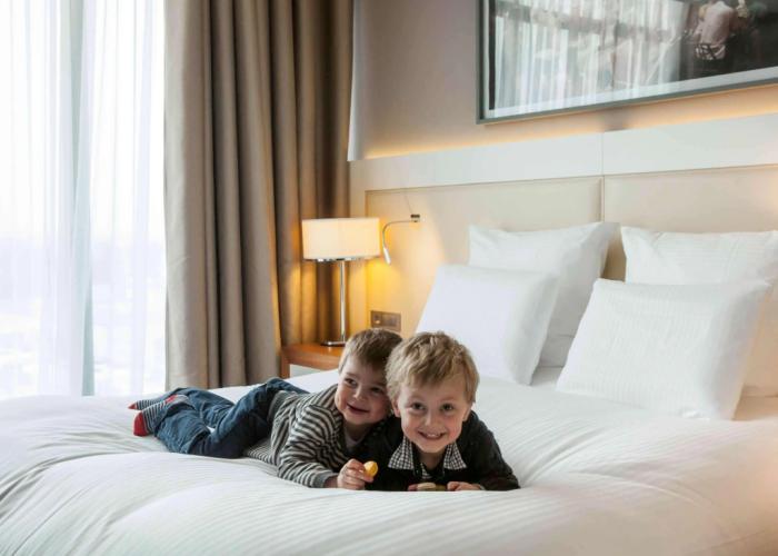 Pullman Toulouse