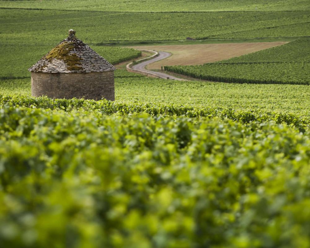 фото Kyriad - Beaune