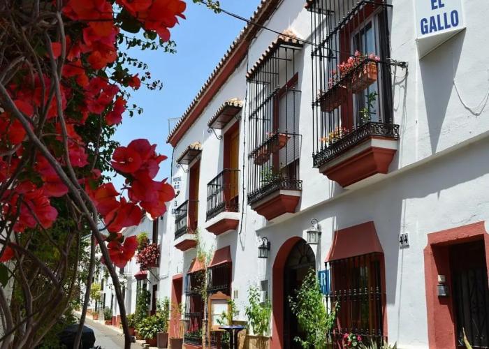 Hostal Apartamentos el Gallo