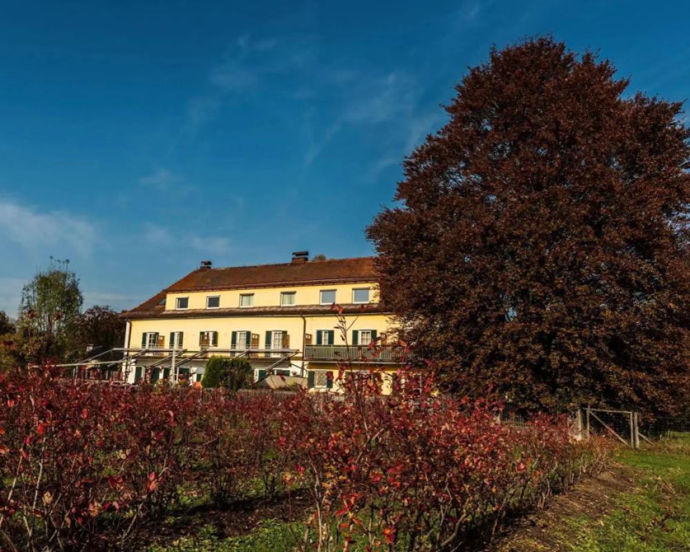 фото Numa Salzburg Ivy