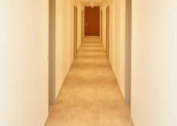 campus apartments