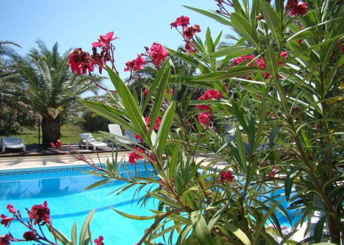 Tropic Hotel