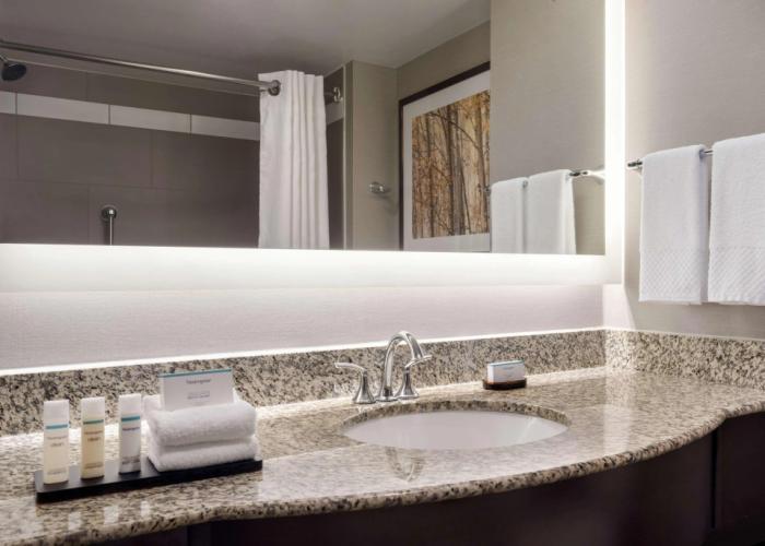 Embassy Suites by Hilton Atlanta Alpharetta