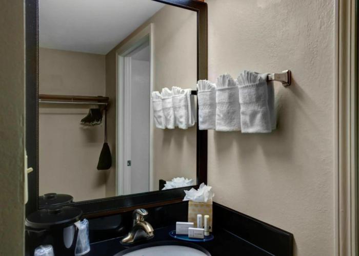 Fairfield Inn & Suites by Marriott Atlanta Alpharetta