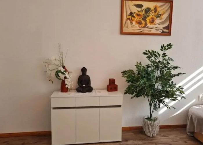 Flat in Zwickau Near August Horch Museum