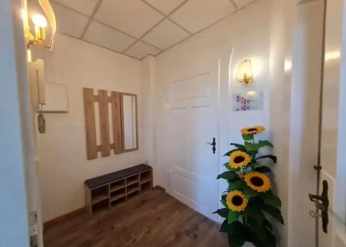 Flat in Zwickau Near August Horch Museum