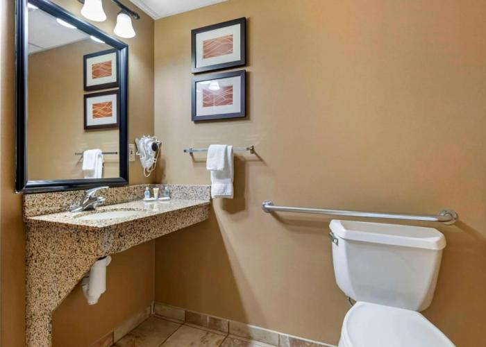 Comfort Inn Albert Lea