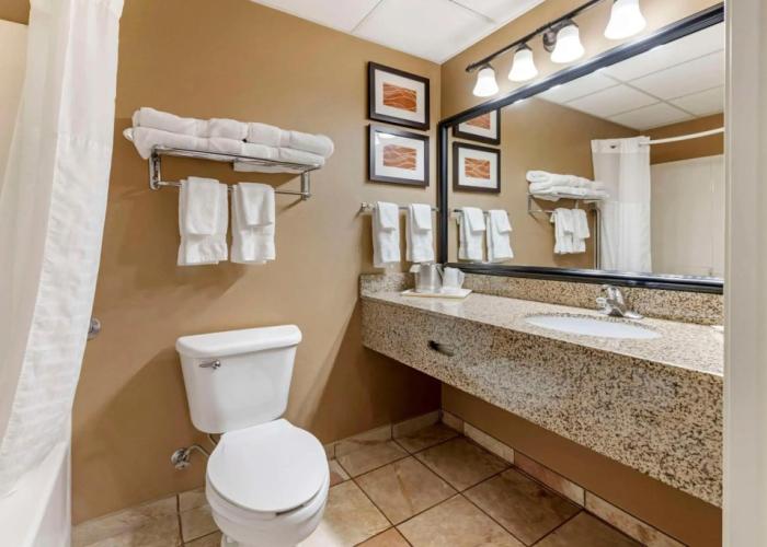 Comfort Inn Albert Lea