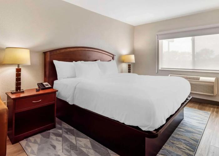 Comfort Inn Albert Lea