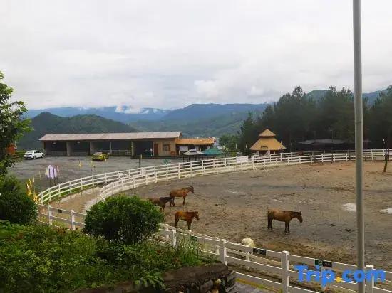 Pinglima Panshan Kangyang Homestay