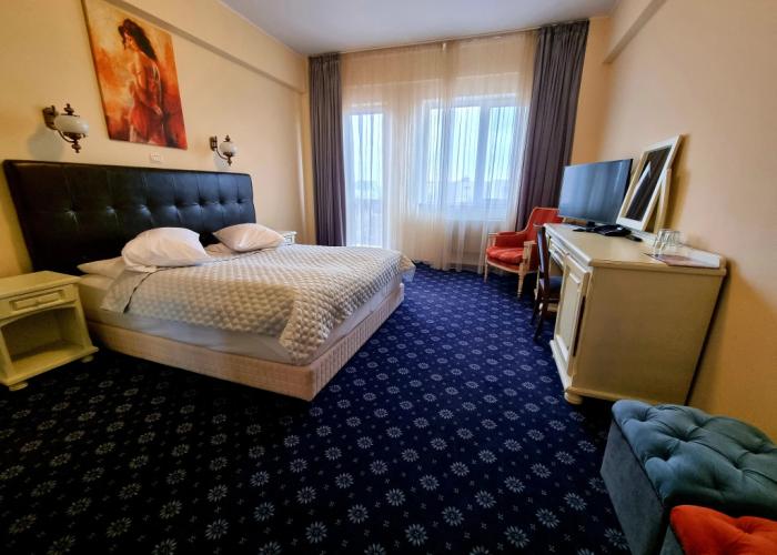 Hotel Coandi