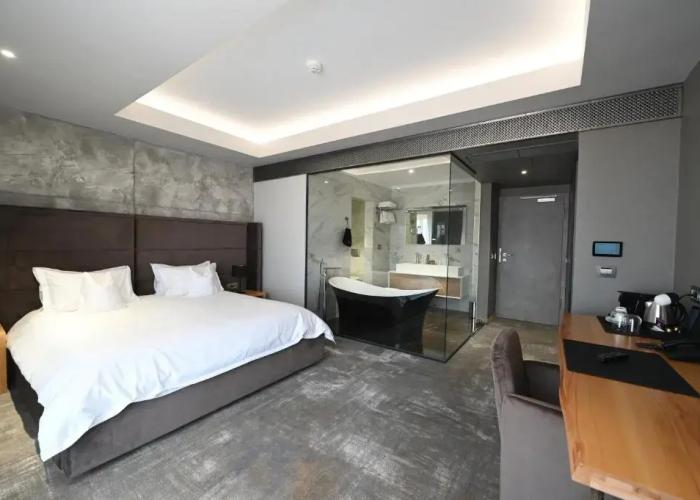 Aniroc Signature Hotel