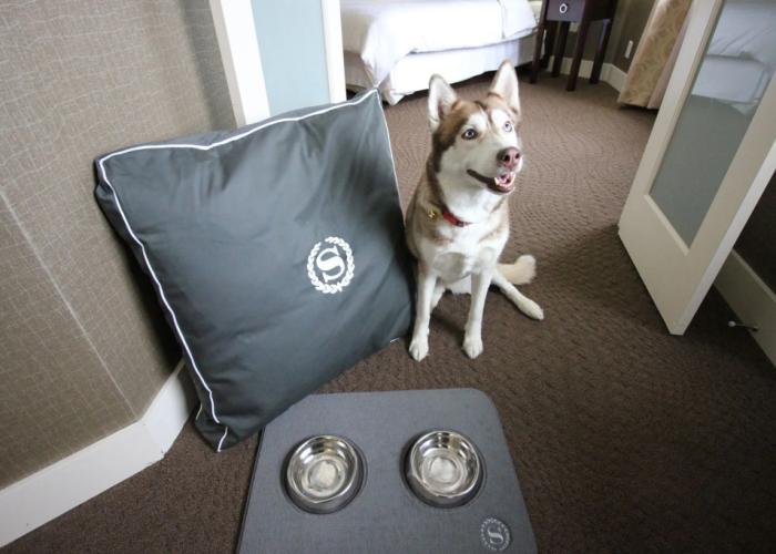 Sheraton Parkway Toronto North Hotel & Suites