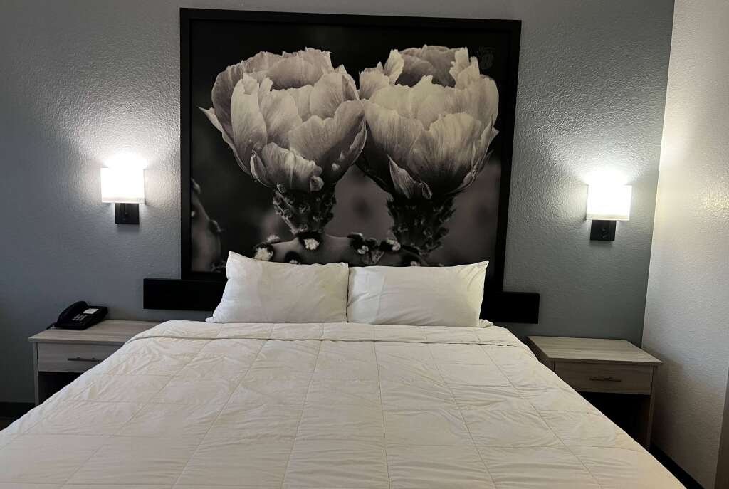 Super 8 by Wyndham Rosenberg TX