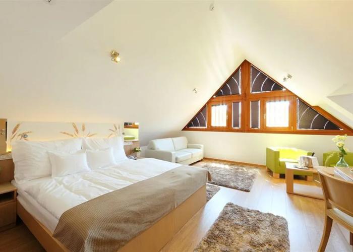 Hotel Historia Malomkert