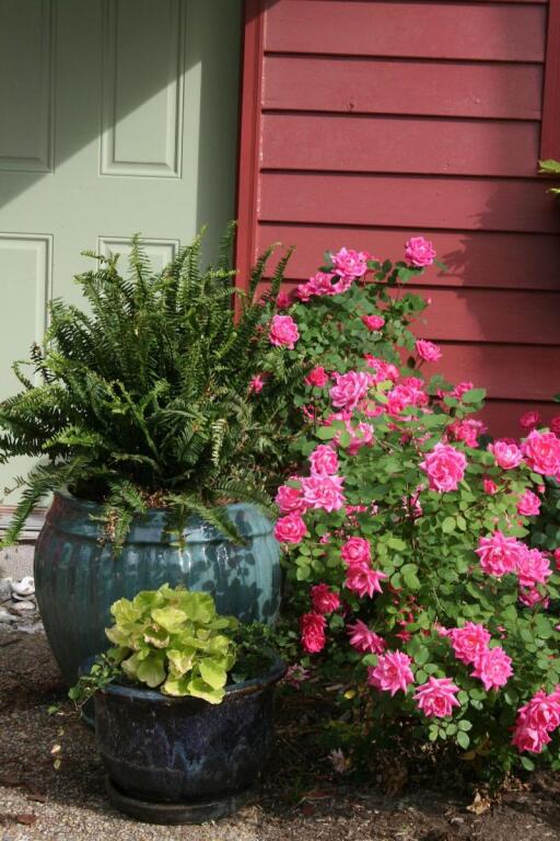 Williamsburg Manor B&B