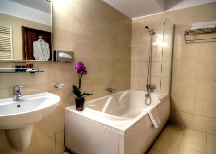 Hotel Dumbrava