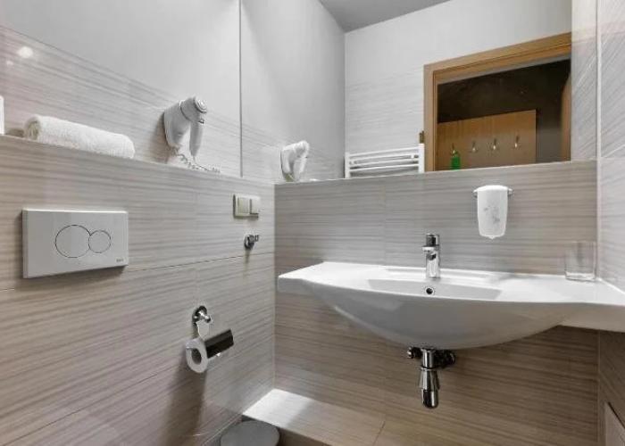 Hotel Lesny