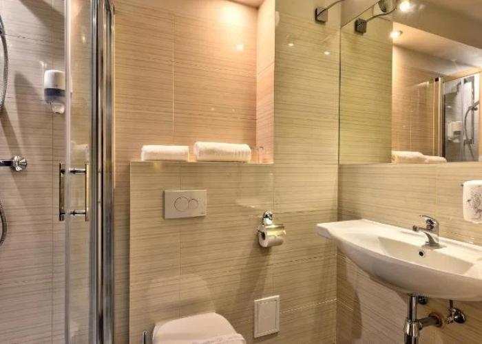 Hotel Lesny