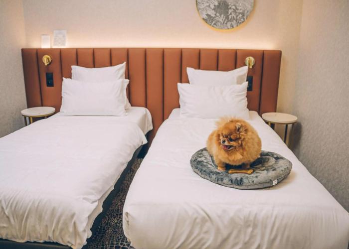 Mercure Bialystok
