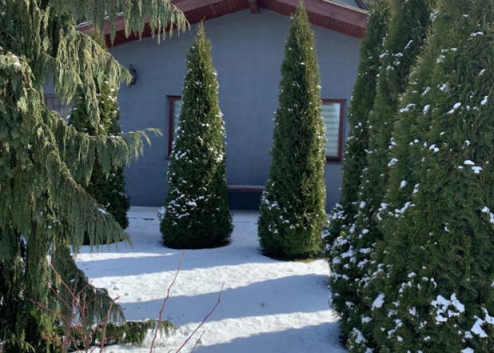 Guest House I Banya U Dmitriya