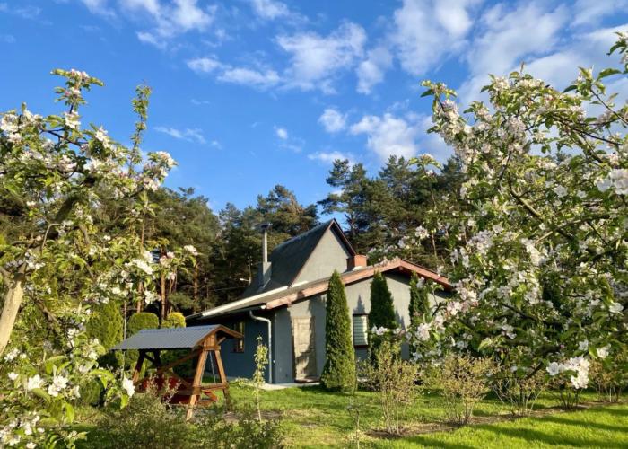 Guest House I Banya U Dmitriya