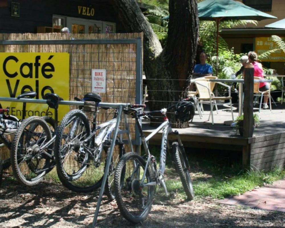 фото Bright Velo