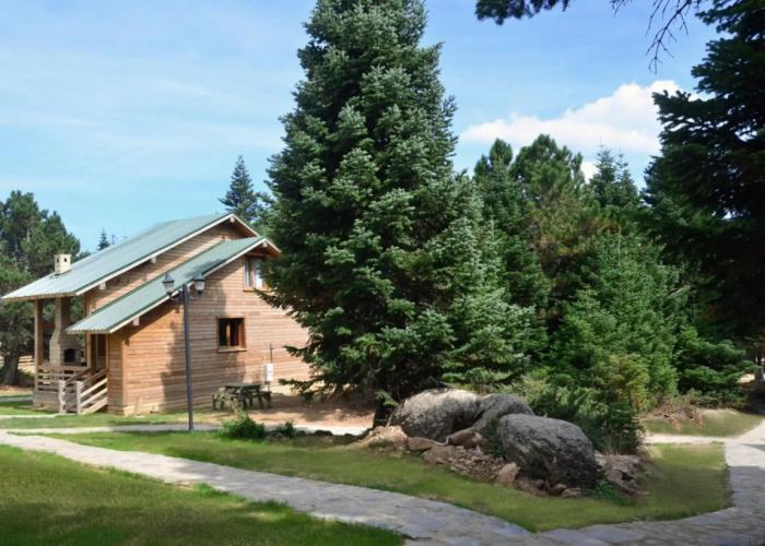 Uludag Orman Koskleri