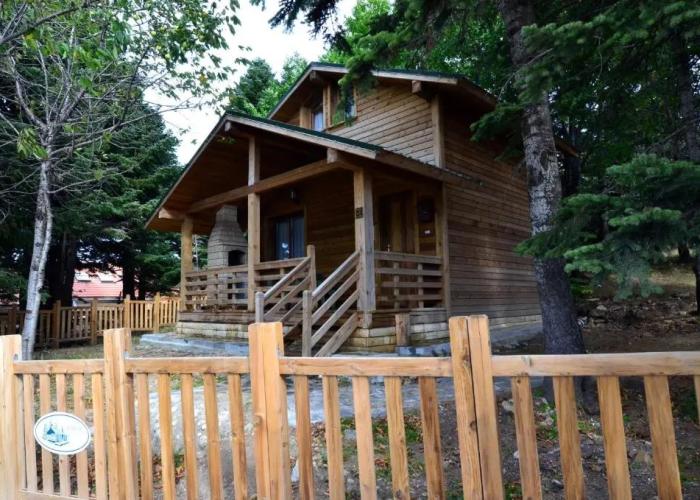 Uludag Orman Koskleri