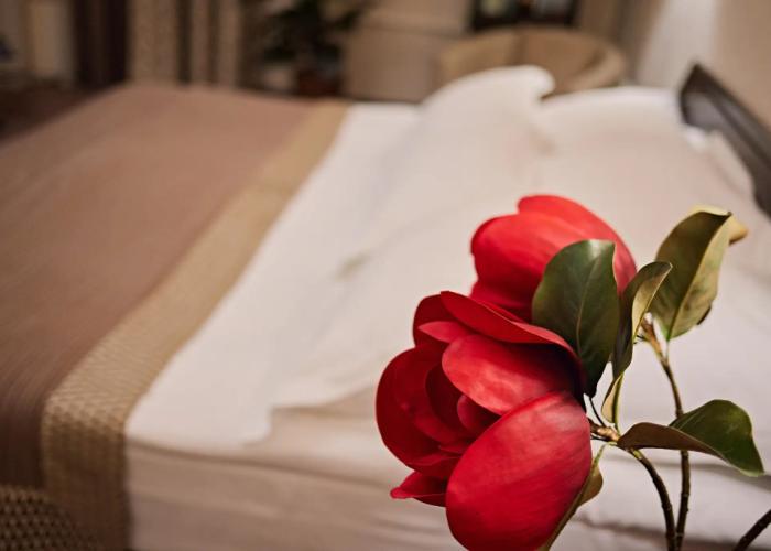 Graf Tolstoy Hotel