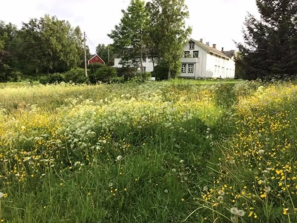 фото Skagen Gaard