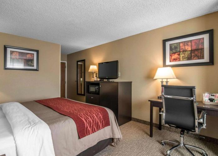 Comfort Inn Saugerties