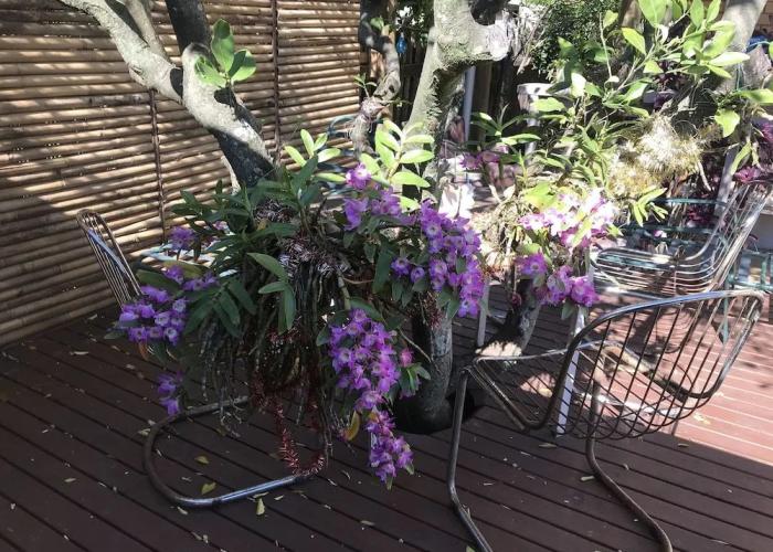 XYL Pets Friendly Seaside Boutique Guesthouse