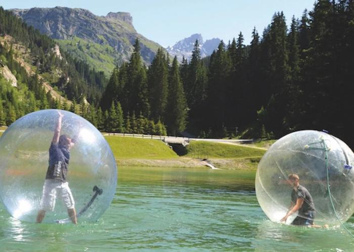 Résidence Le Domaine du Jardin Alpin