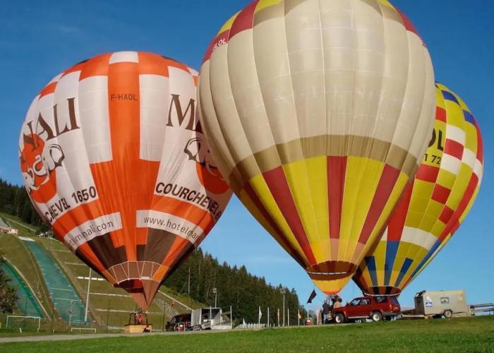 Résidence Le Domaine du Jardin Alpin
