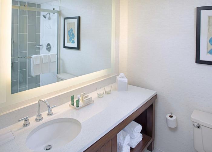 Hilton Boston/Dedham