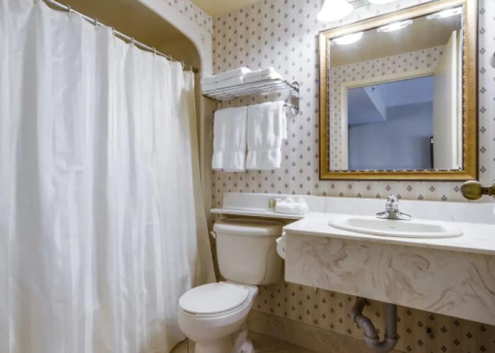 Monte Carlo Inn - Brampton Suites