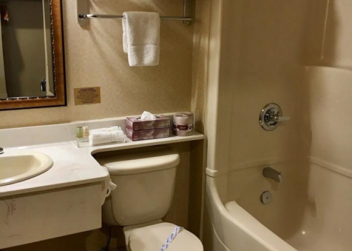 Monte Carlo Inn - Brampton Suites