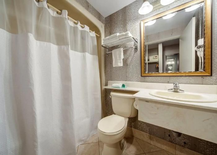Monte Carlo Inn - Brampton Suites