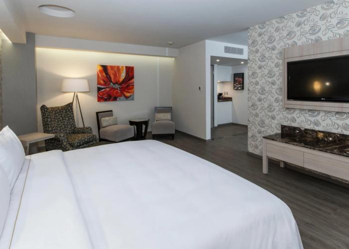 Holiday Inn Express Mexico - Toreo by IHG