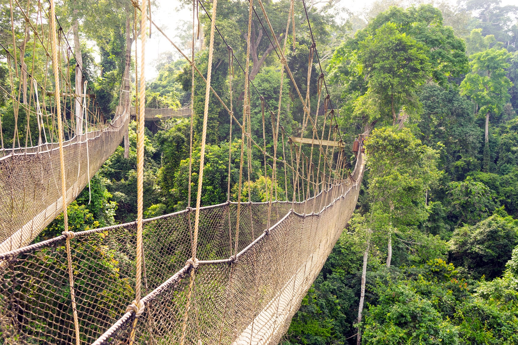 Kakum National Park